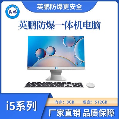 防爆一体机电脑i58G+512