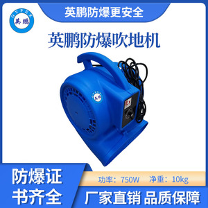 英鹏防爆吹地机-750W