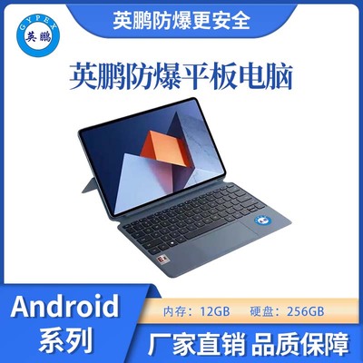 防爆平板电脑Android系列12+256GB