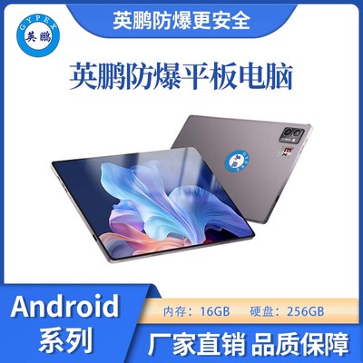 防爆平板电脑Android系列16+256GB