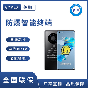 华为Mate40定制防爆款