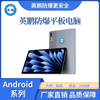 防爆平板电脑Android系列8+256GB 5G