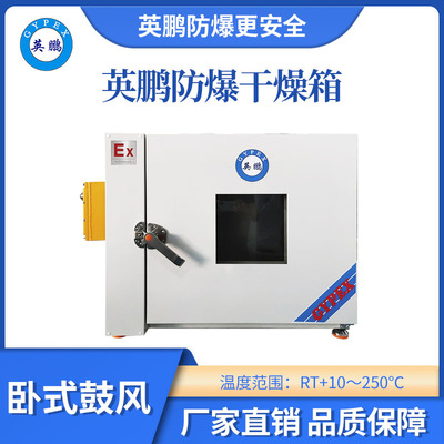 英鹏卧式鼓风防爆干燥箱130L
