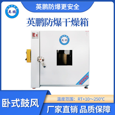 英鹏卧式鼓风防爆干燥箱250L