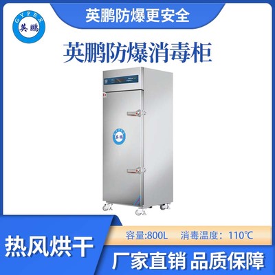 英鹏防爆110℃蒸汽热风烘干消毒柜-800L