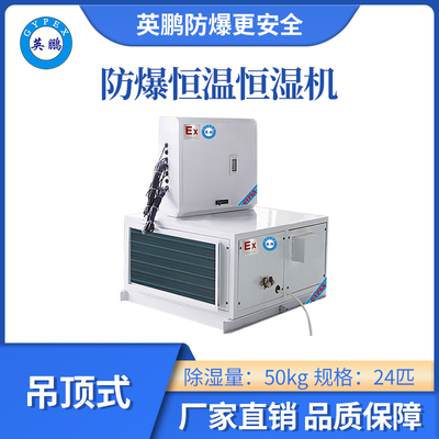 英鹏吊顶式防爆恒温恒湿机24匹