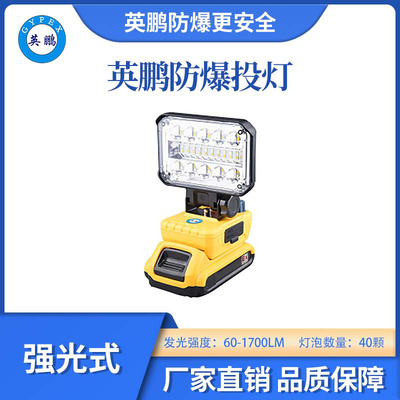 英鹏防爆强光投灯-40灯泡