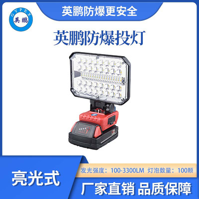 英鹏防爆亮光投灯-40灯泡