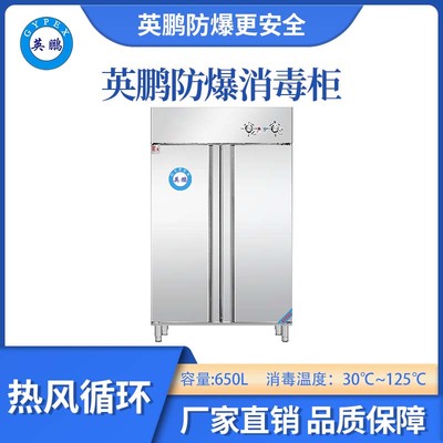 英鹏防爆30-125℃高温热风循环消毒柜-650L-B