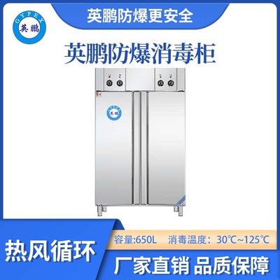 英鹏防爆30-125℃高温热风循环消毒柜-650L-A