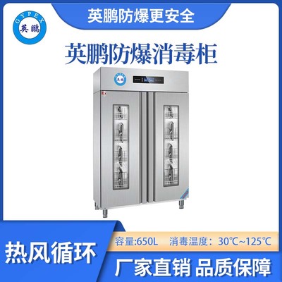 英鹏防爆30-125℃高温热风循环消毒柜-650L-C