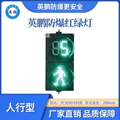 200型RG-PC人行倒计时款