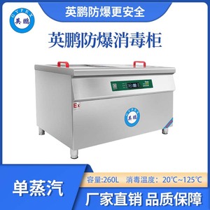 英鹏防爆单蒸汽消毒柜-260L