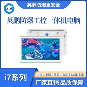 防爆工控一体机i78G+480~512