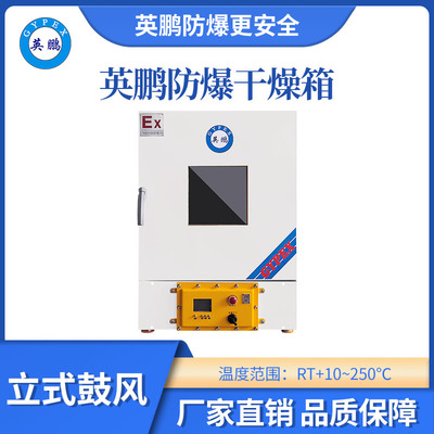 英鹏立式鼓风防爆干燥箱125L