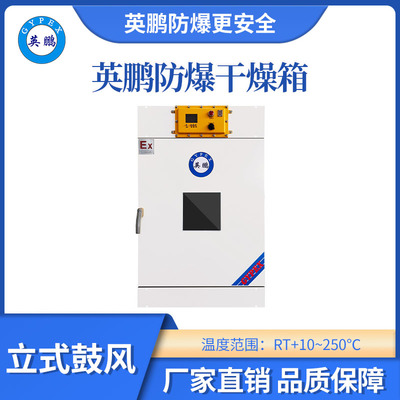 英鹏立式鼓风防爆干燥箱230L