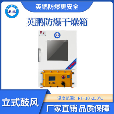英鹏立式鼓风防爆干燥箱45L