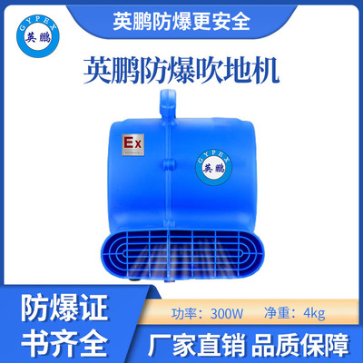 英鹏防爆吹地机-300W