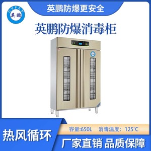 英鹏防爆125℃热风循环消毒柜-650L