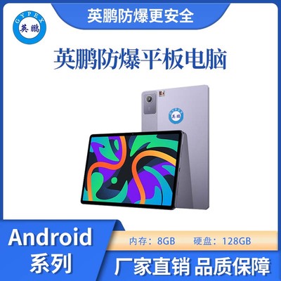 防爆平板电脑Android系列8+128GB