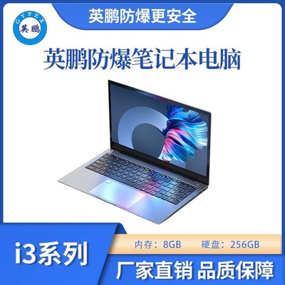 防爆笔记本电脑i3处理器系列8+256GB