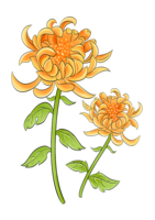 花1.png