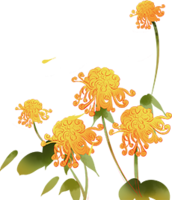 花2.png
